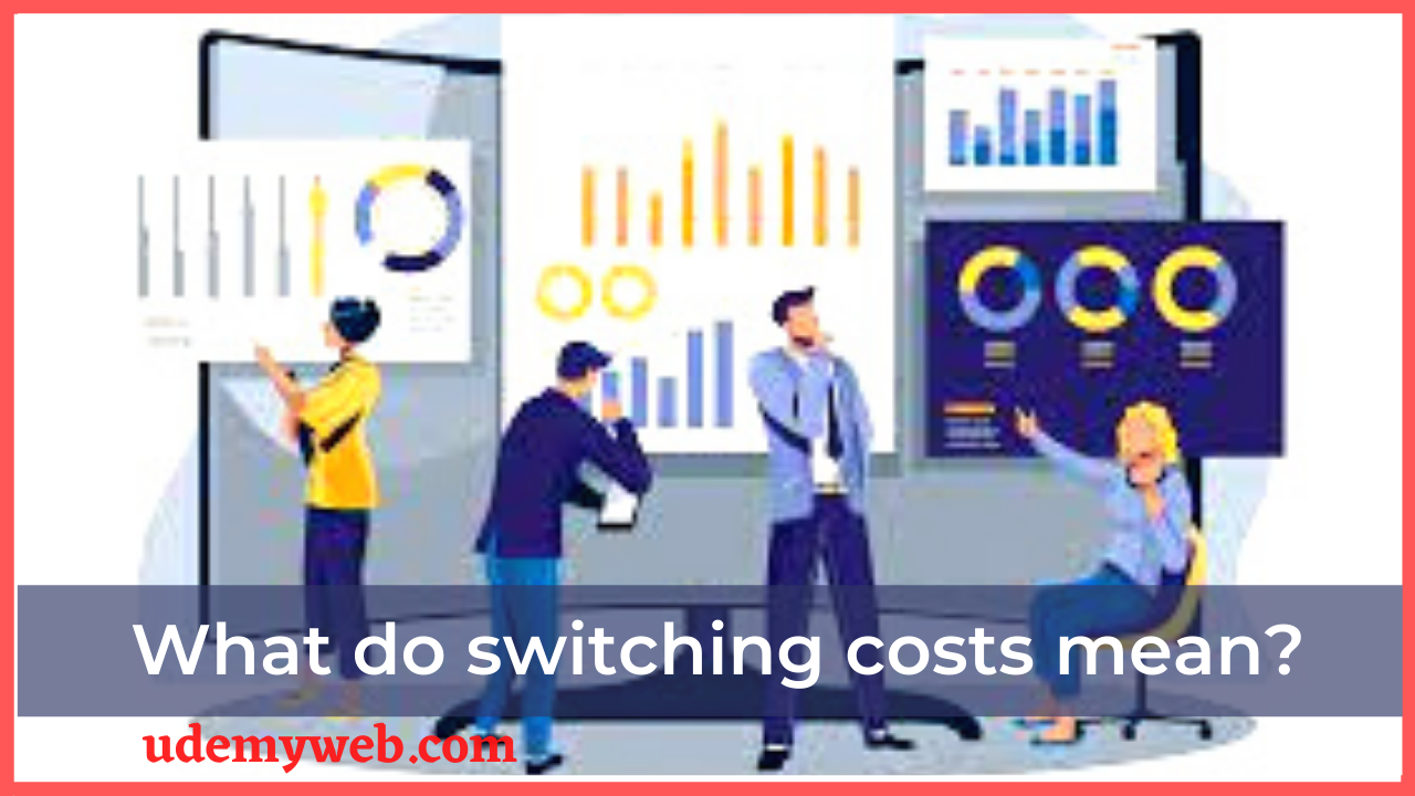 What do switching costs mean